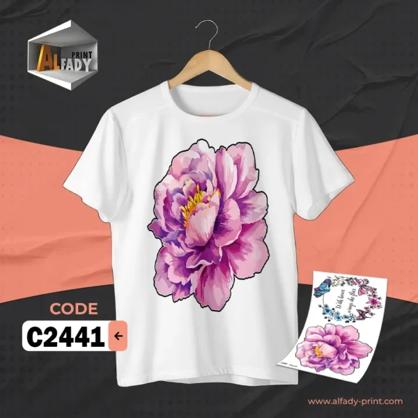 C2441