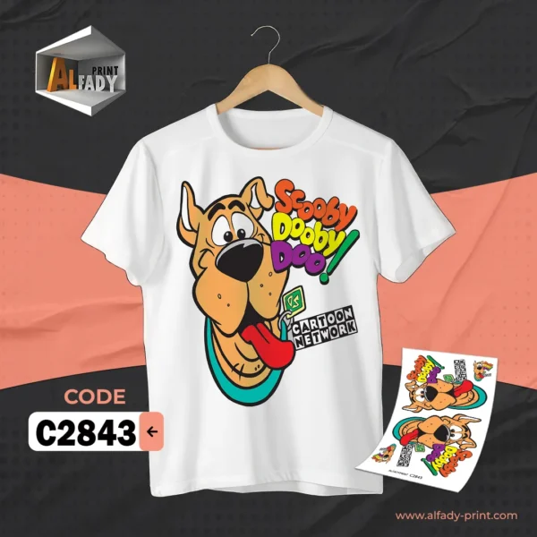 C2843